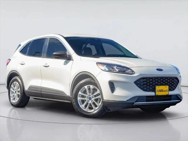 2022 Ford Escape SE for sale in Georgetown, TX